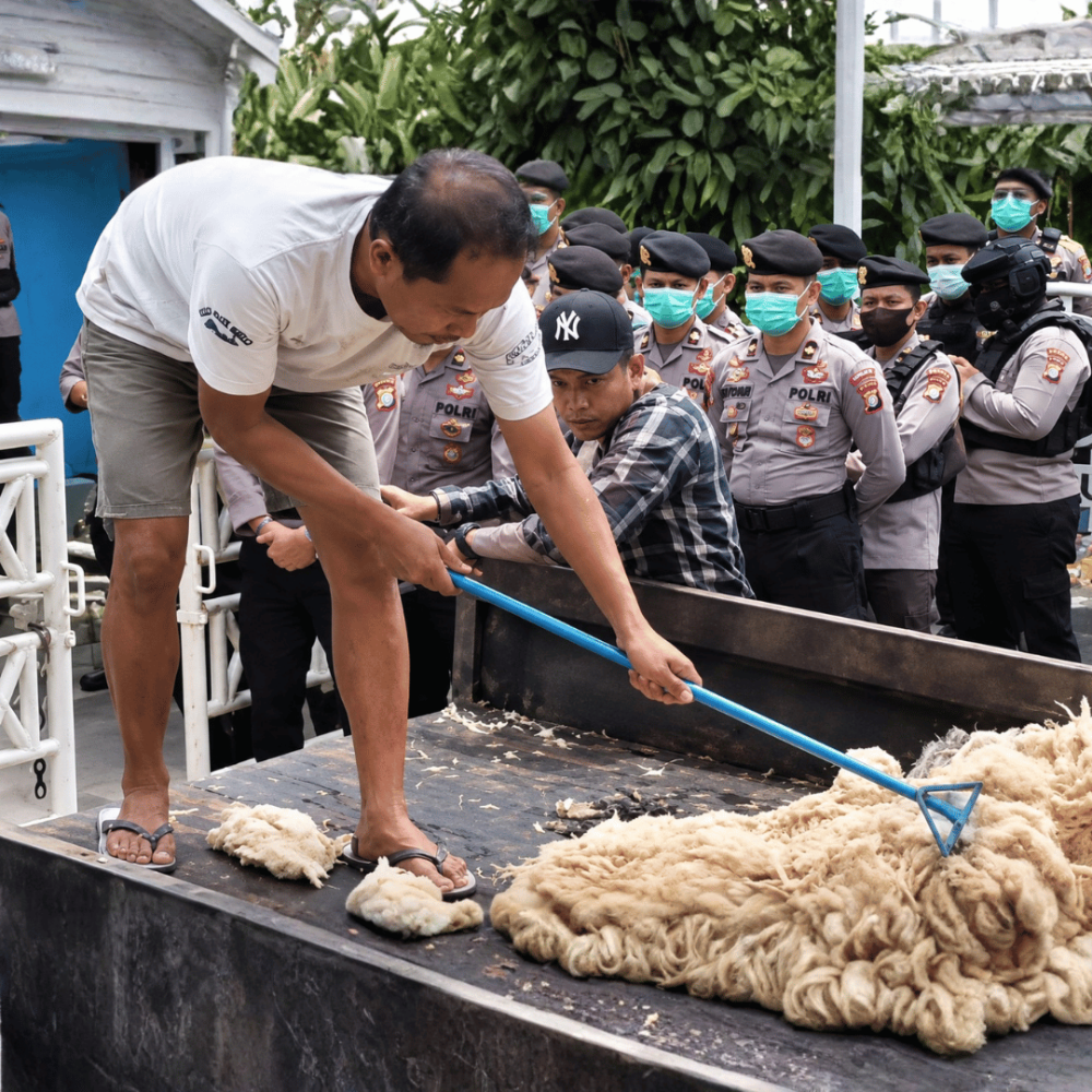 Kesal Listrik Kerap Padam, Peternak di Palangka Raya Geruduk Kantor PLN Bawa Ayam Mati
