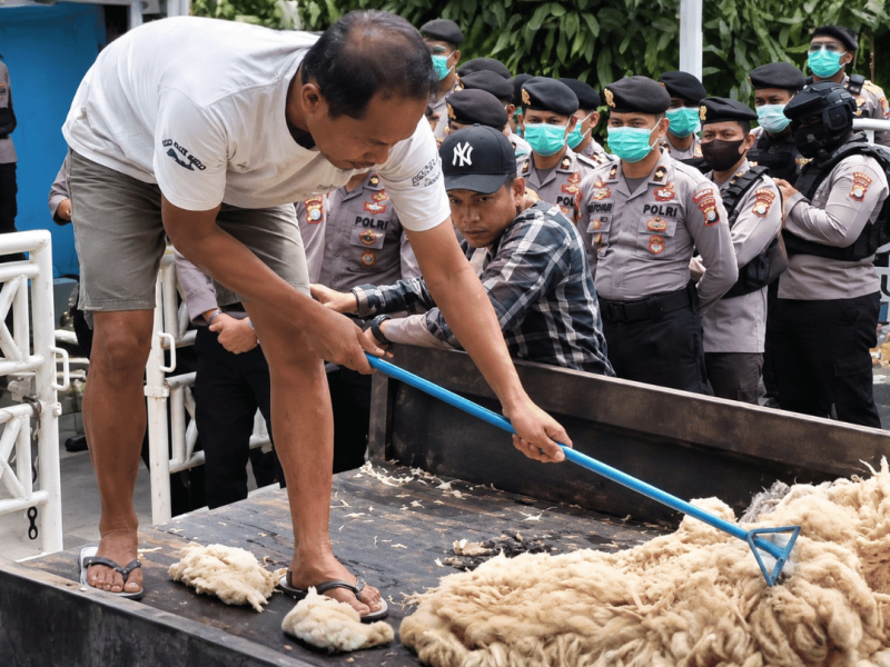 Kesal Listrik Kerap Padam, Peternak di Palangka Raya Geruduk Kantor PLN Bawa Ayam Mati